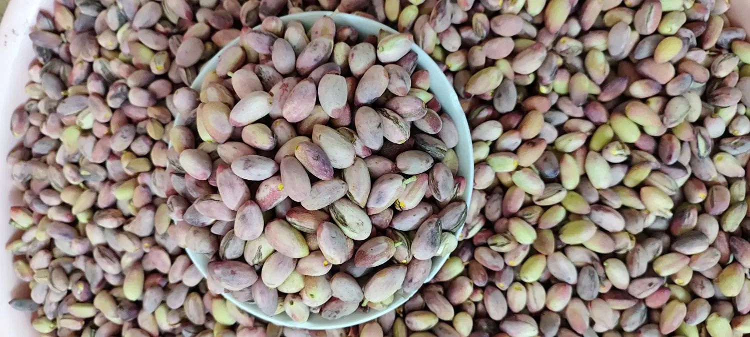 پسته تازه|خوردنی و آشامیدنی|تهران, فدک|دیوار