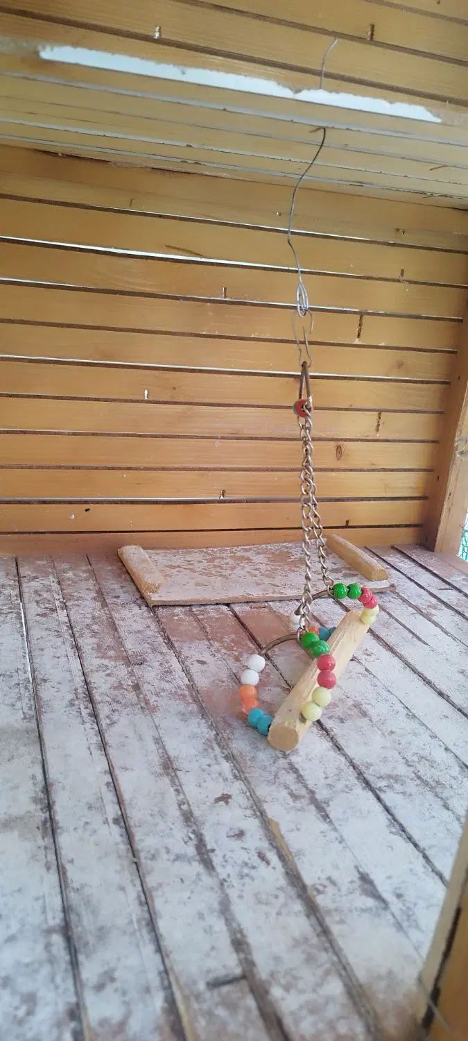 قفس پرنده|لوازم جانبی حیوانات|بم, |دیوار