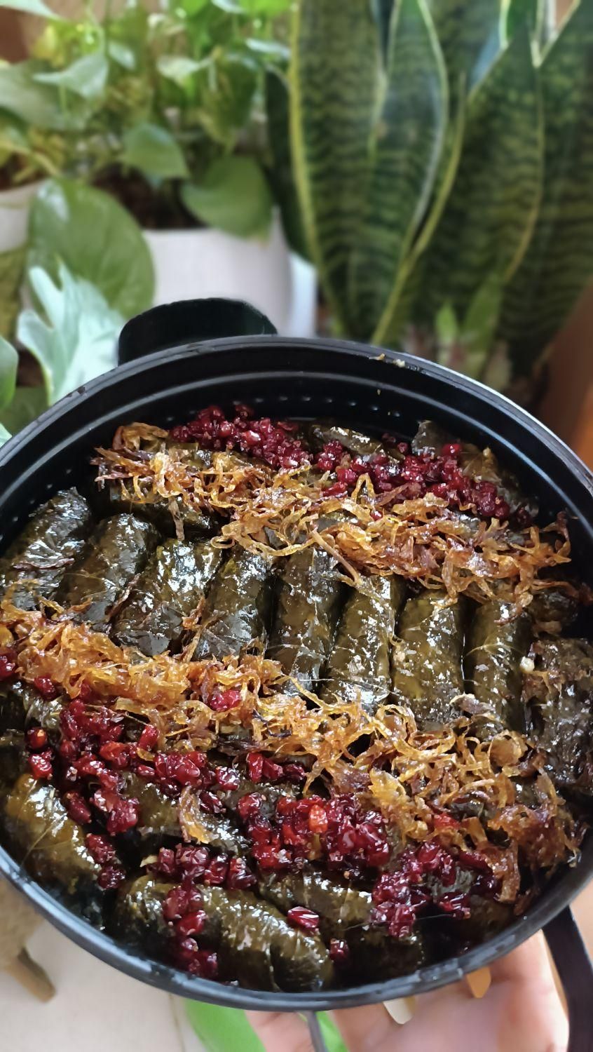 دلمه با برگ تازه و چاشنی دلخواه|خوردنی و آشامیدنی|مشهد, کوثر|دیوار