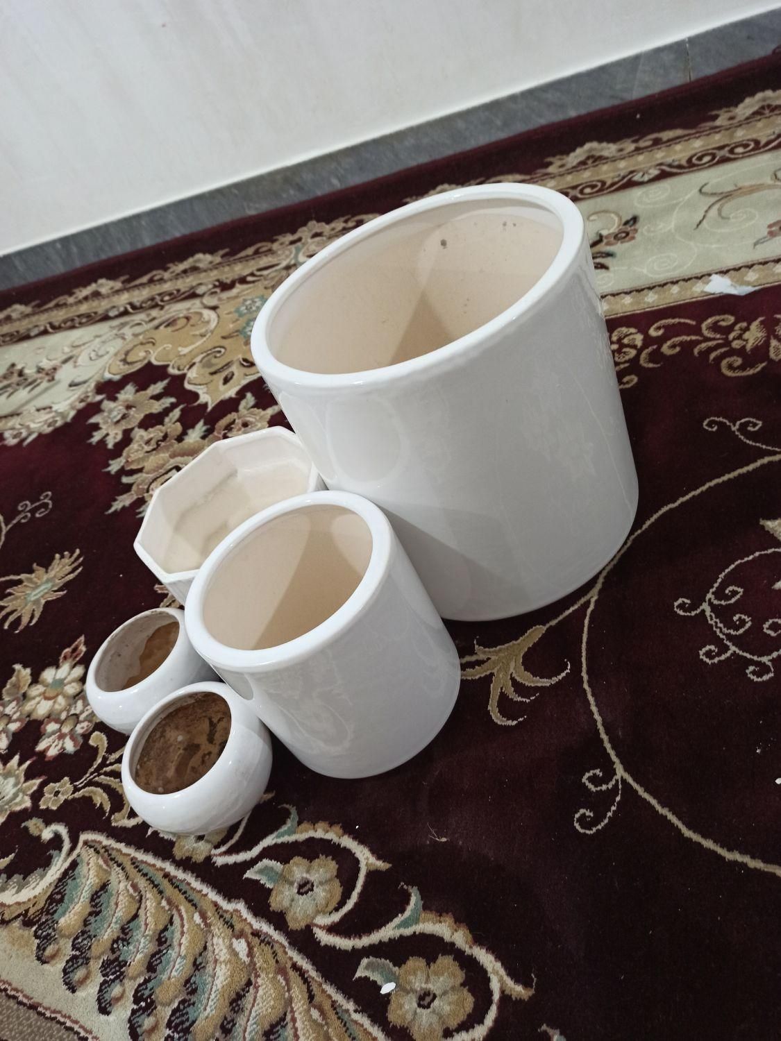 تعداد دو عدد گلدان نوو دوتا گلدان کوچیک استفاده شد|گل و گیاه طبیعی|اهواز, کوی رمضان|دیوار