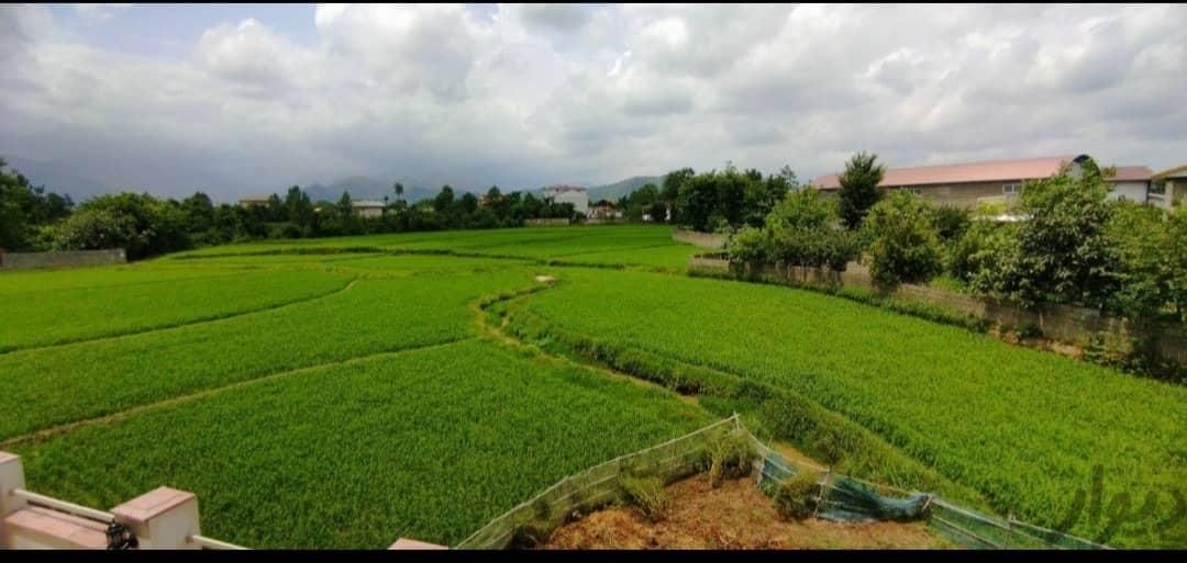 فروش زمین ۳۶۰ متری در امیر کیوان|فروش زمین و ملک کلنگی|شاهینشهر, مورچه خورت|دیوار