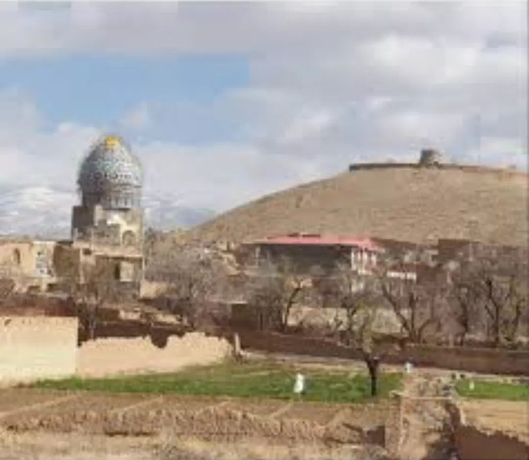 مزرعه چند هکتاری،دارای درخت بادام در روستای یزد|فروش زمین و ملک کلنگی|نیر (یزد), |دیوار