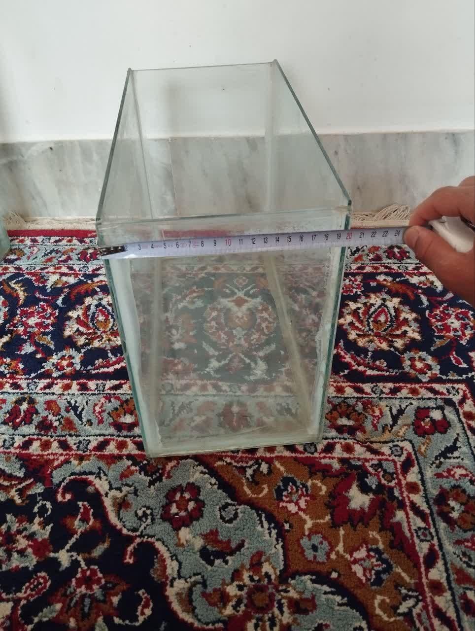 آکواریوم|ماهی|خمینی‌شهر, |دیوار