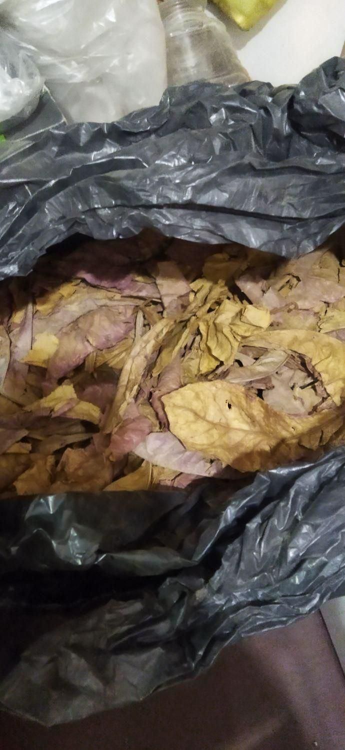 کاتاپا و سیستویفر فرص اسپرولینا دکپسوله ،متیلن بلو|ماهی|تهران, جیحون|دیوار