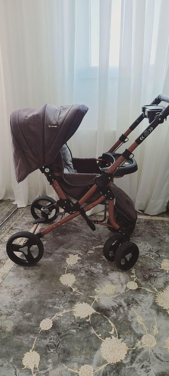 کالسکه دلیجان|کالسکه و لوازم جانبی|دماوند, گیلاوند|دیوار