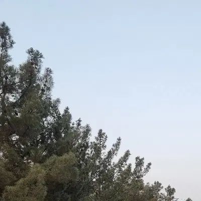 داوطلبانه ورزش پیاده روی فردا|فعالیت داوطلبانه|تهران, قلهک|دیوار