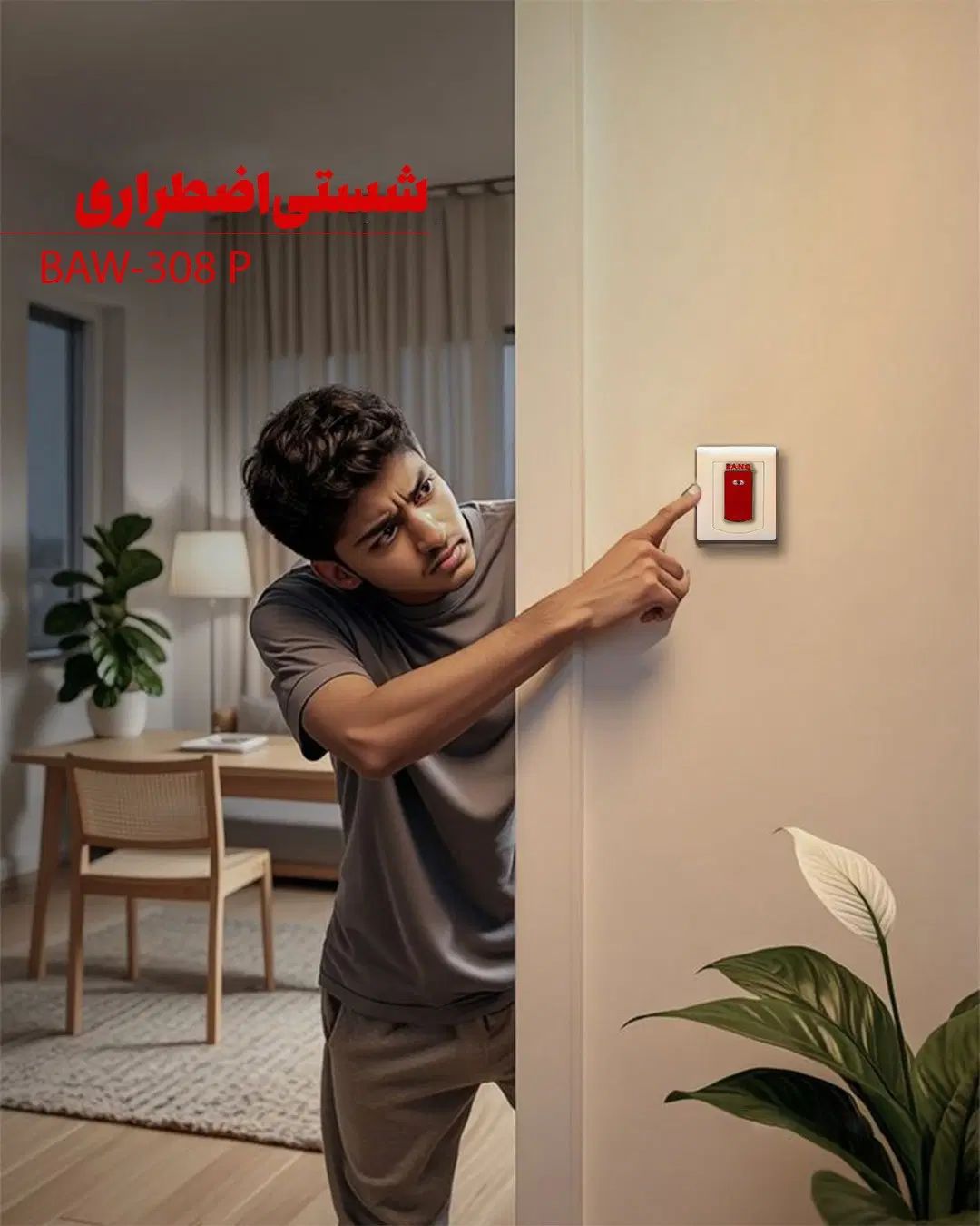 شستی اضطراری دزدگیر|دوربین مداربسته|تهران, نجات اللهی|دیوار