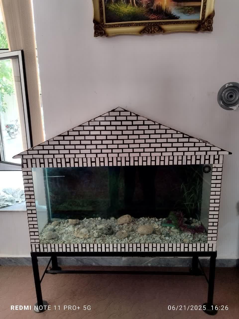 آکواریوم|ماهی|صوفیان, |دیوار