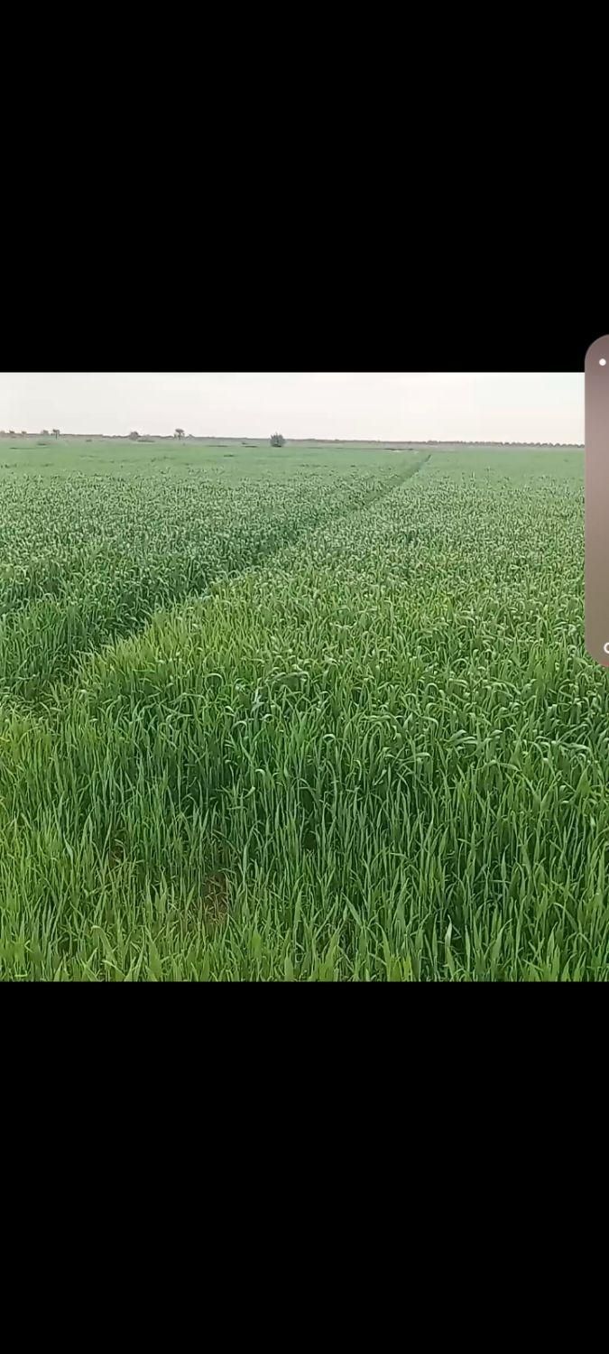 کارت بنزین گم شده بنام حسن آروش با ***********تماس|اشیا|چمران, |دیوار