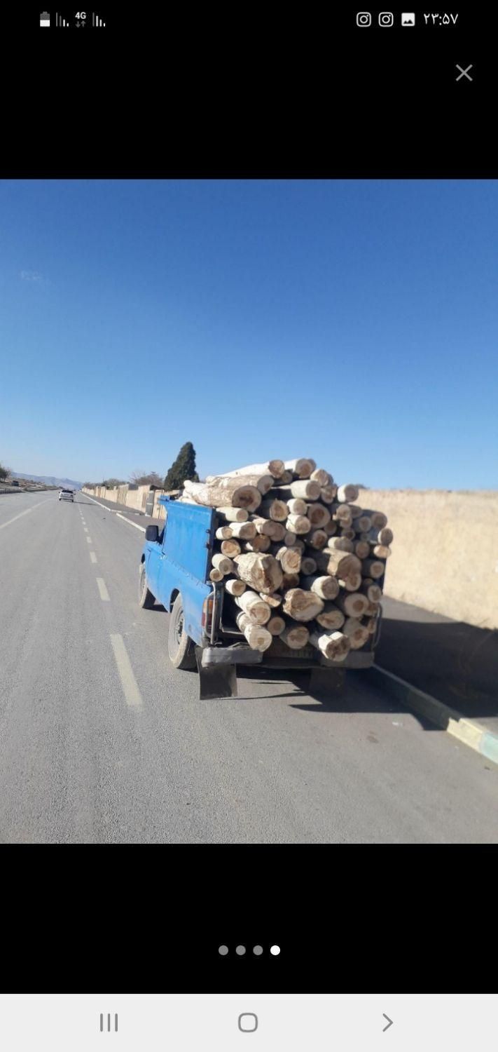 خریدار انواع چوب|خدمات باغبانی و درختکاری|اراک, |دیوار