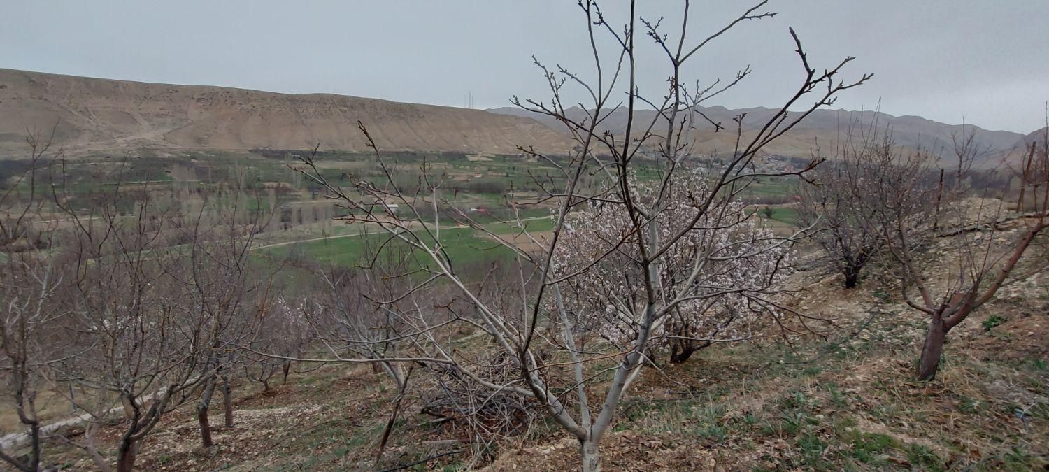 خونه باغ تنگه واشی/سند/جواز/برق/مدارک تکمیل|فروش دفتر صنعتی، کشاورزی، تجاری|فیروزکوه, |دیوار