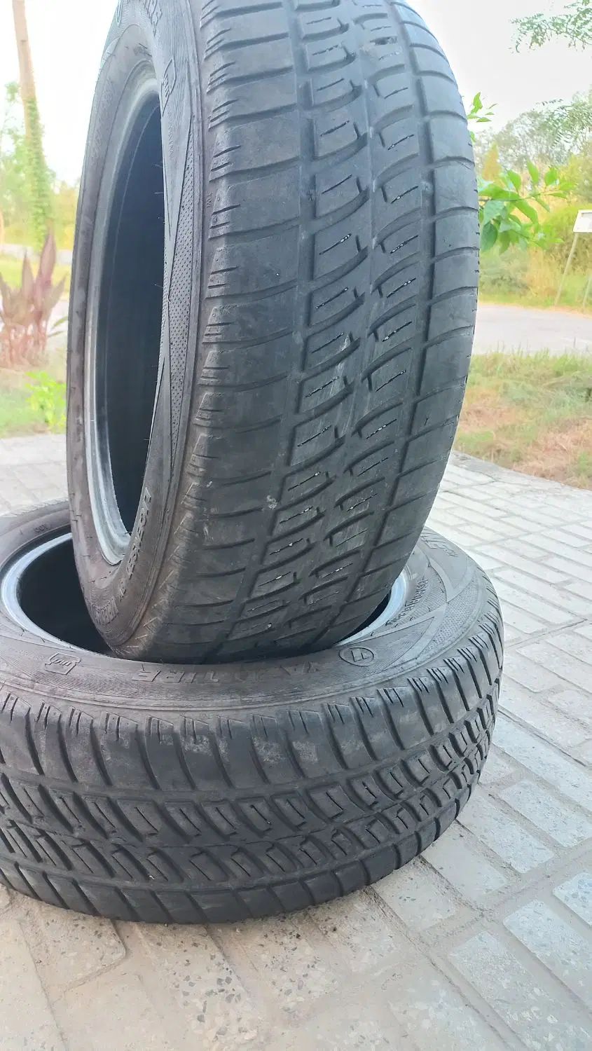 لاستیک سایز۱۹۵|قطعات یدکی و لوازم جانبی|رشت, گیل|دیوار