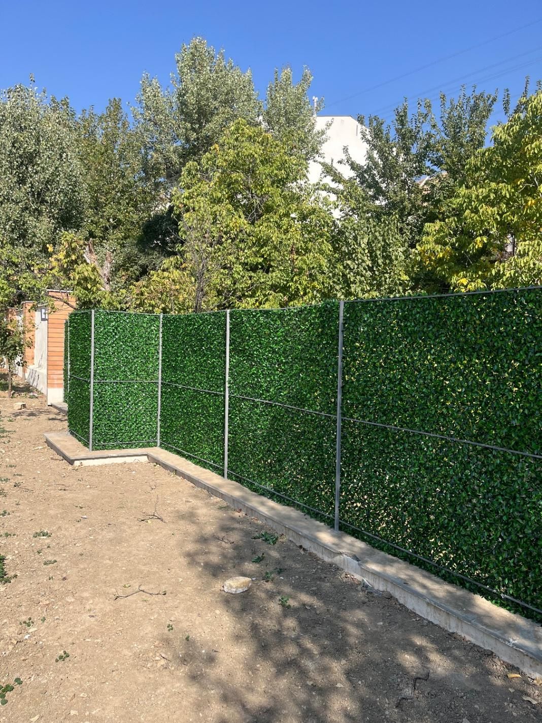 فنس چمنی و فنس برگی|خدمات باغبانی و درختکاری|کرج, گلدشت|دیوار