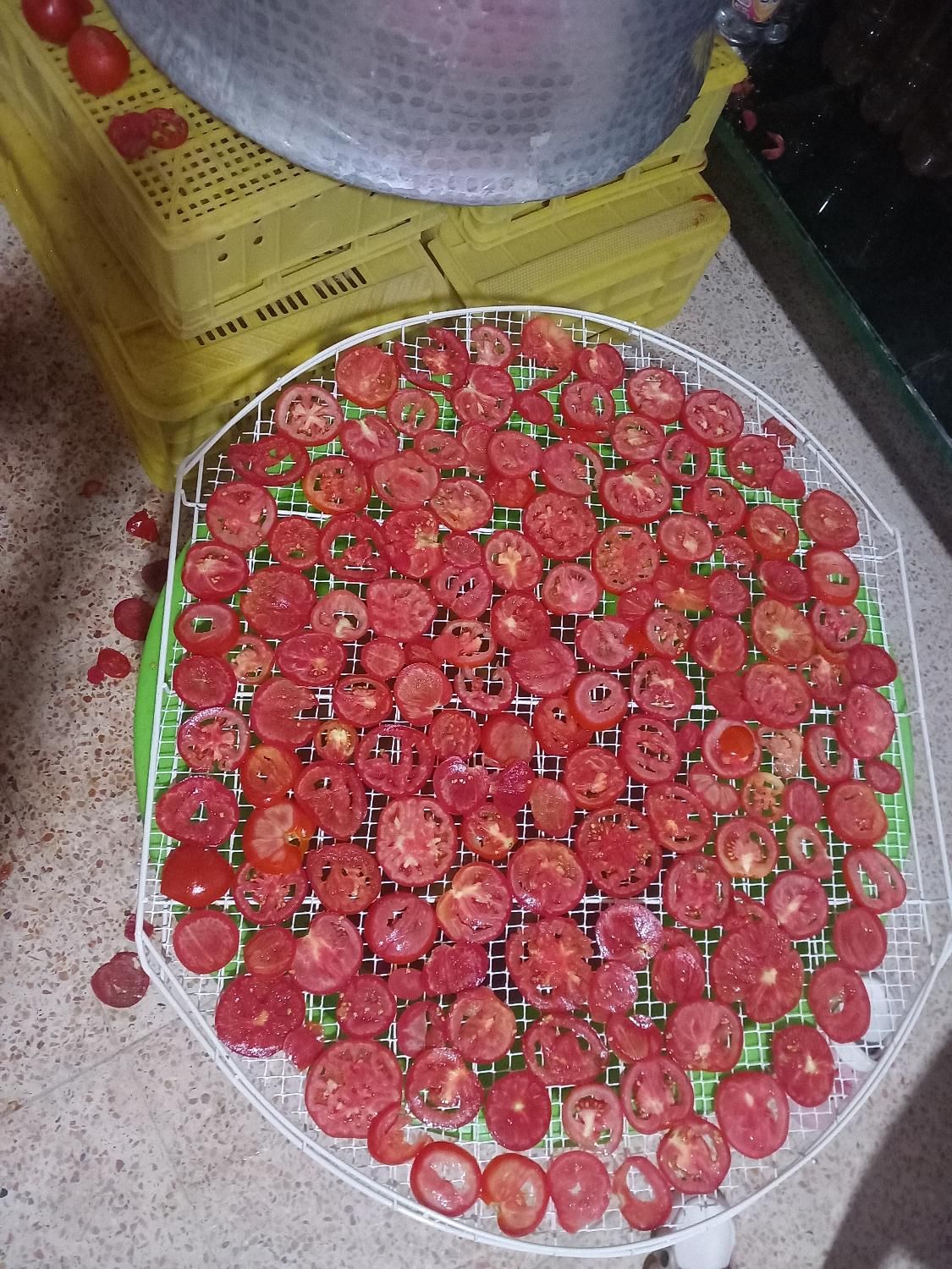 گوجه ربی درجه یک|خوردنی و آشامیدنی|اصفهان, بابوکان|دیوار