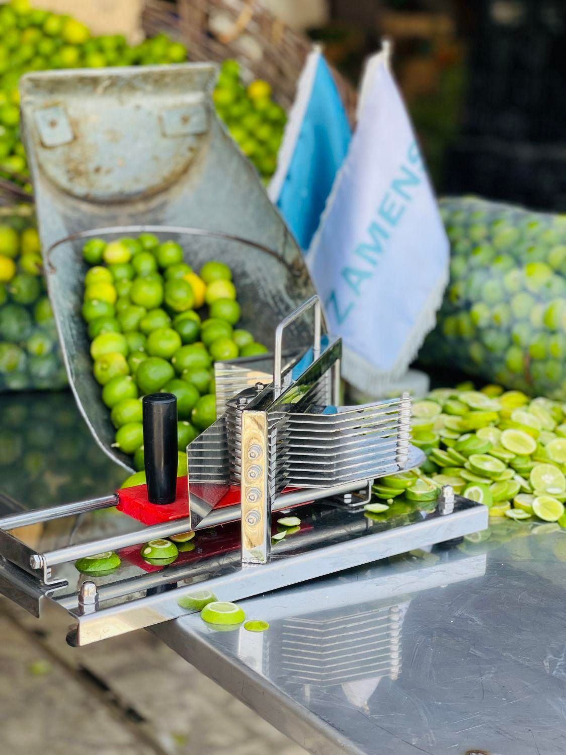 اسلایسر لیمو|خردکن، آسیاب، غذاساز|جهرم, |دیوار