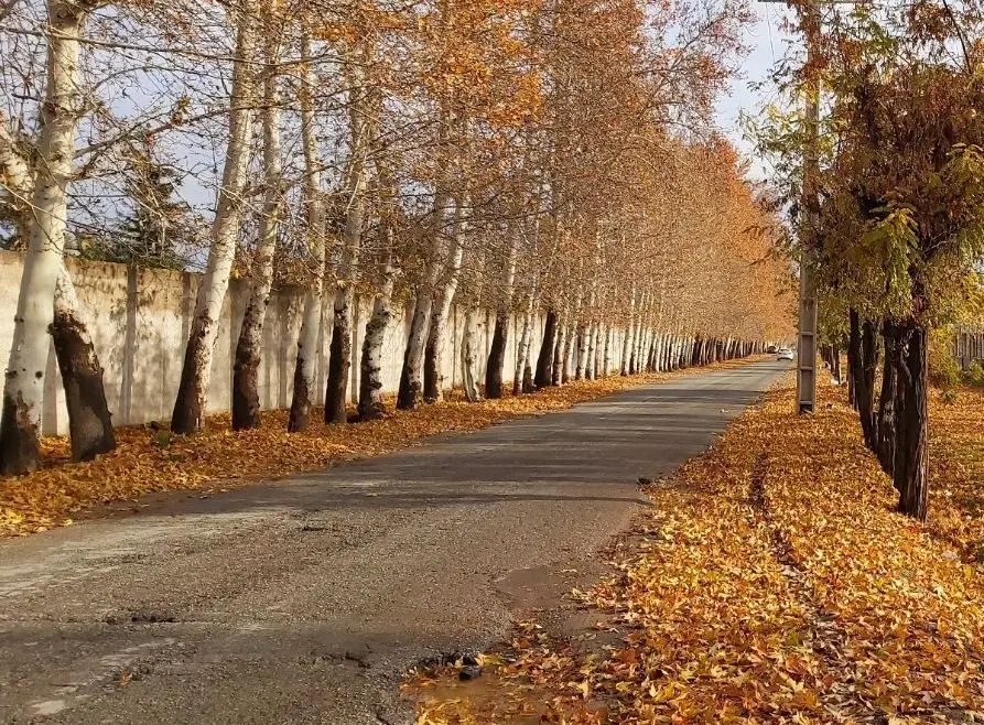زمین ۵۰۰ متری سند دار در مهرشهر خیابان چمن|فروش زمین و ملک کلنگی|کرج, چمن|دیوار
