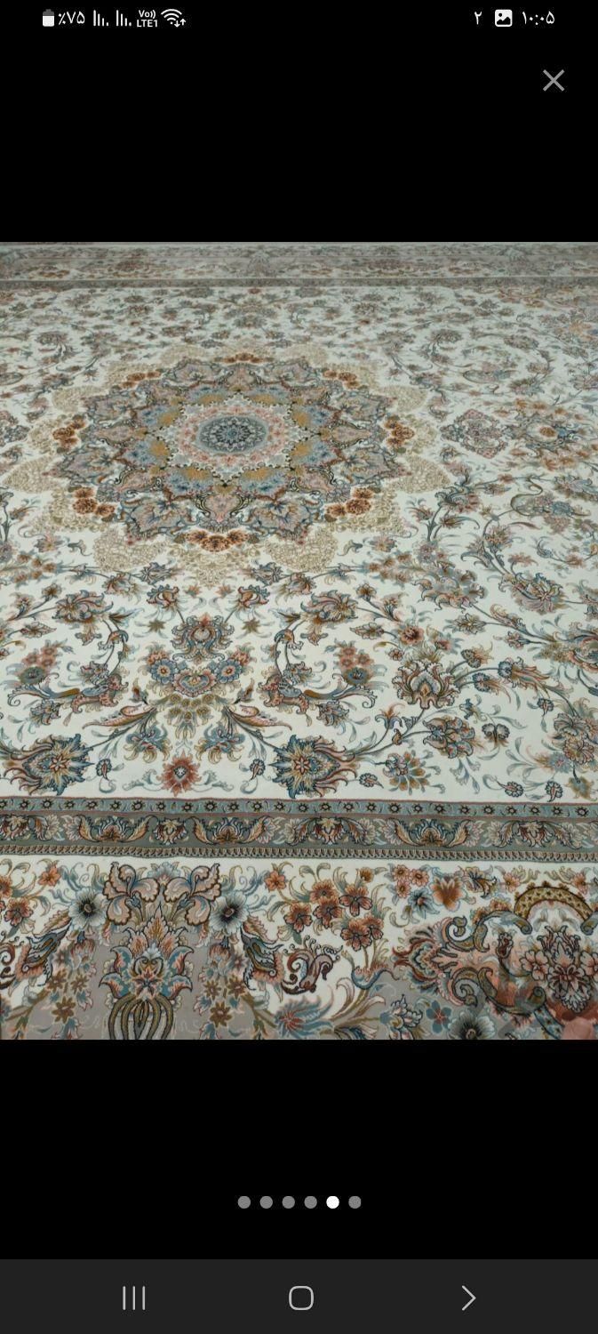 فرش|فرش|تربتحیدریه, جانبازان|دیوار