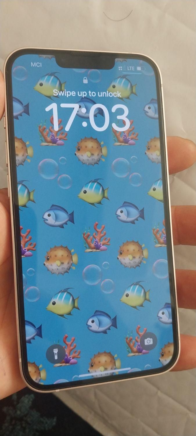 اپل iPhone 13 با حافظهٔ ۲۵۶ گیگابایت|موبایل|ماهدشت, |دیوار