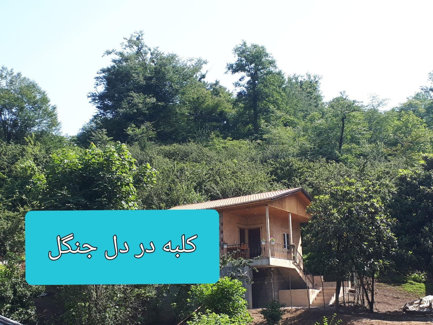 اجاره روزانه ویلا جنگلی|اجارهٔ کوتاه‌مدت ویلا و باغ|شیرگاه, |دیوار