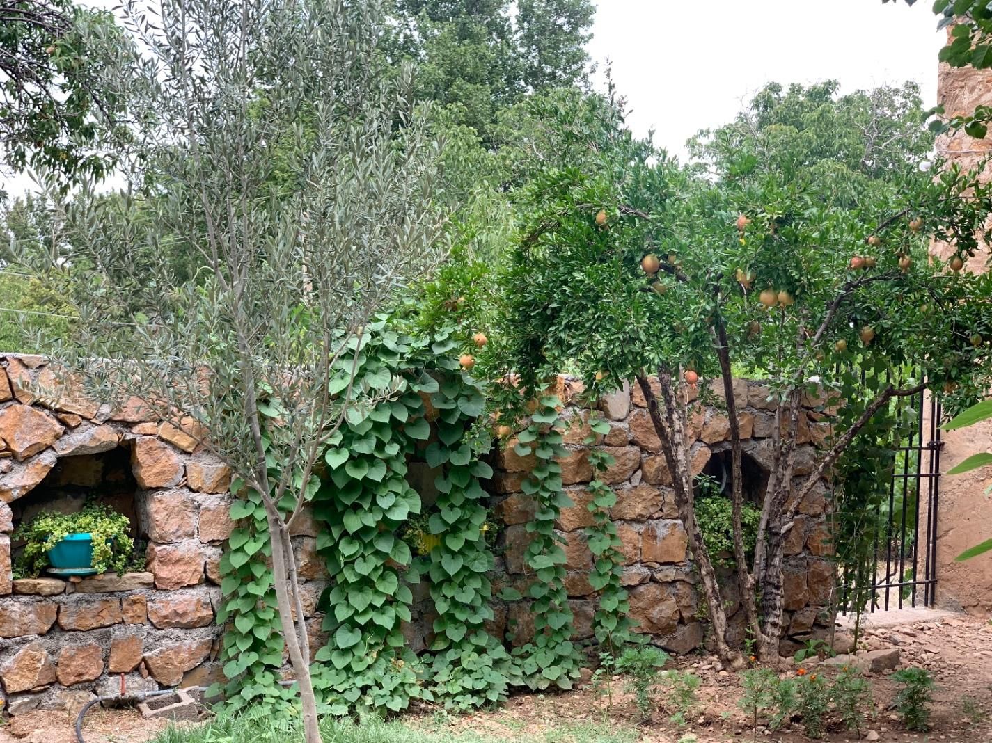 اجاره روزانه خانه باغ قلات بافت قدیم|اجارهٔ کوتاه‌مدت ویلا و باغ|شیراز, قلات|دیوار