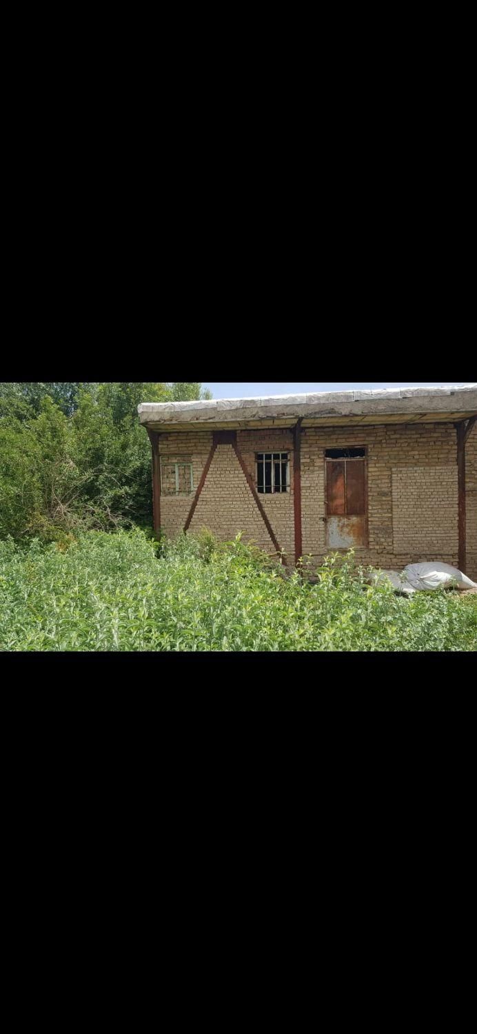 فروش زمین ۵۰۰ متری روستای شیخ میری|فروش زمین و ملک کلنگی|بروجرد, |دیوار
