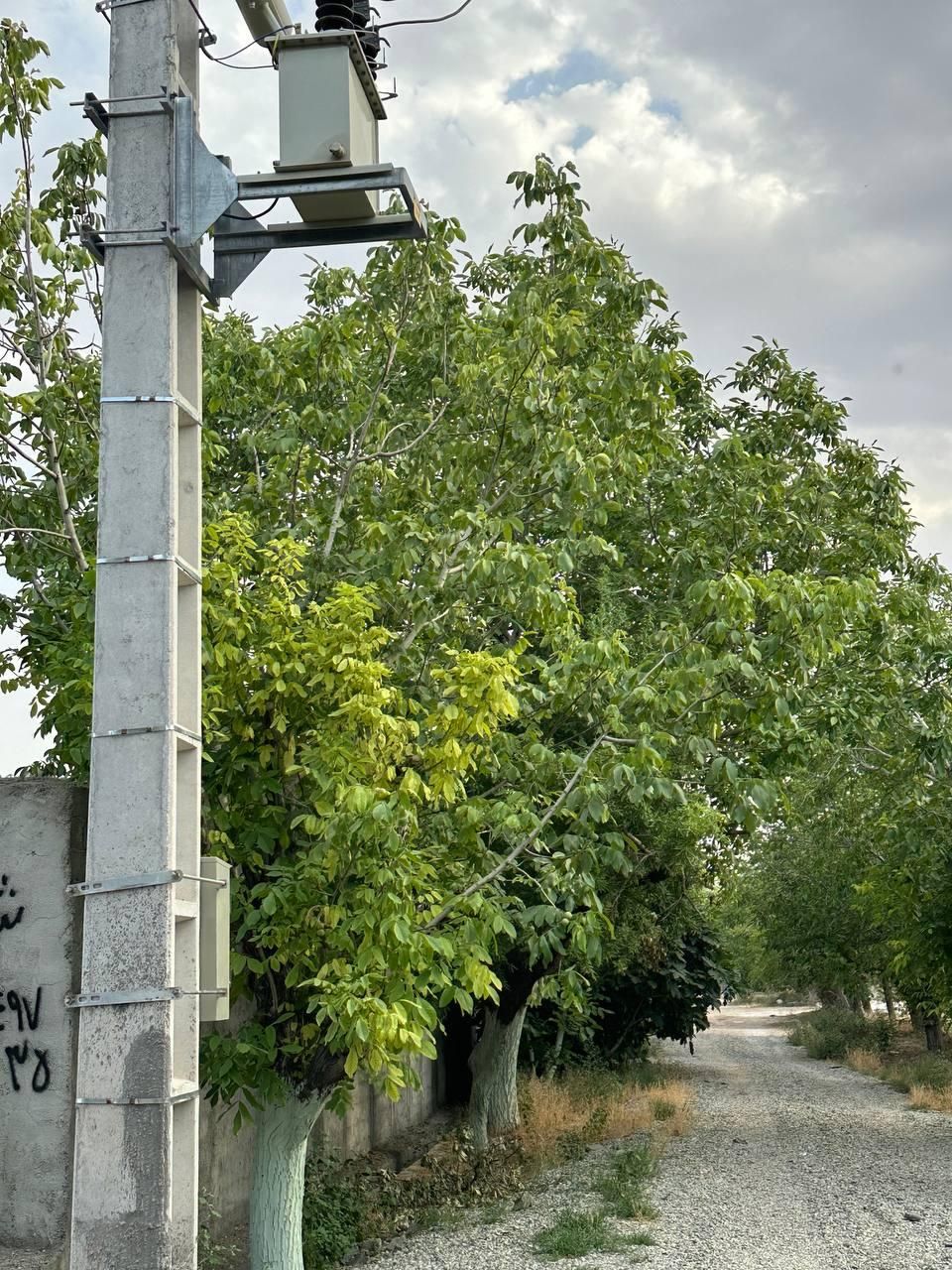 فروش باغچه ۳۴۰ متری بااقساط بلندمدت|فروش زمین و ملک کلنگی|رباطکریم, انجم آباد|دیوار
