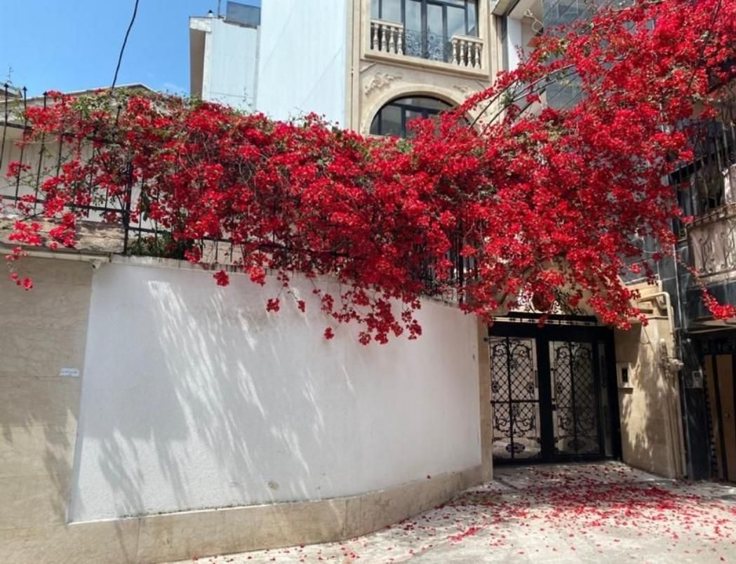 فروش آپارتمان ۱۵۰ متری ۳ خوابه سندار در منظریه|فروش آپارتمان|رشت, منظریه|دیوار