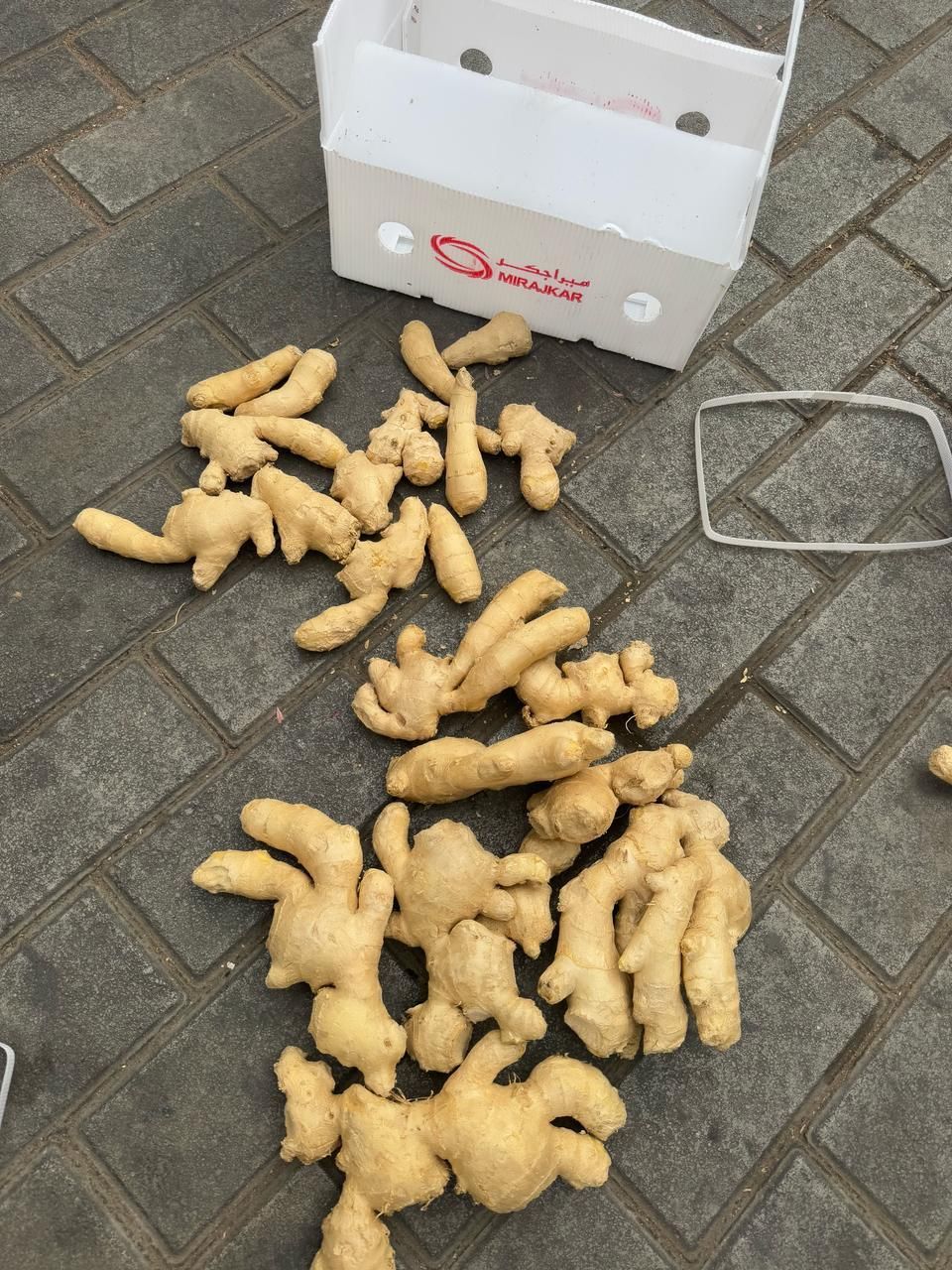 پخش عمده زنجبیل درجه ۱  به شرط عالی بودن|خوردنی و آشامیدنی|شیراز, تندگویان|دیوار