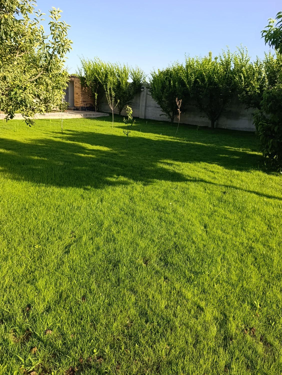 چمن کاری گل کاری حرص کار|خدمات باغبانی و درختکاری|ارومیه, |دیوار