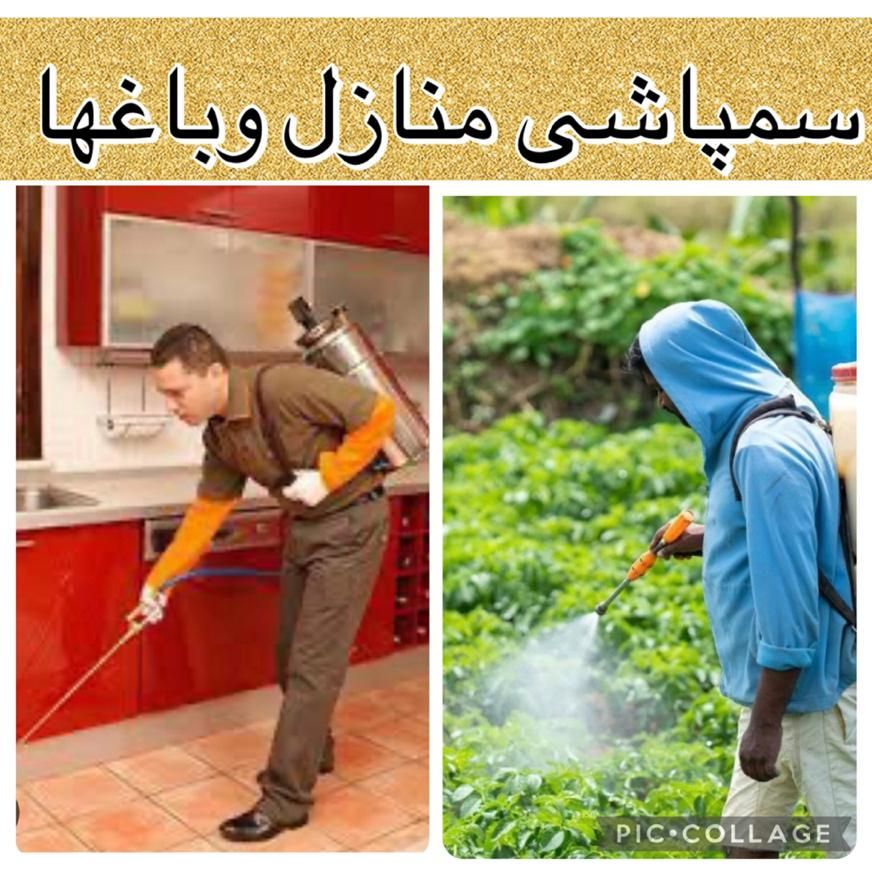 سمپاشی خانه وباغ+سموم ترکیبی زیرنظرمتخصص|خدمات باغبانی و درختکاری|چالوس, |دیوار