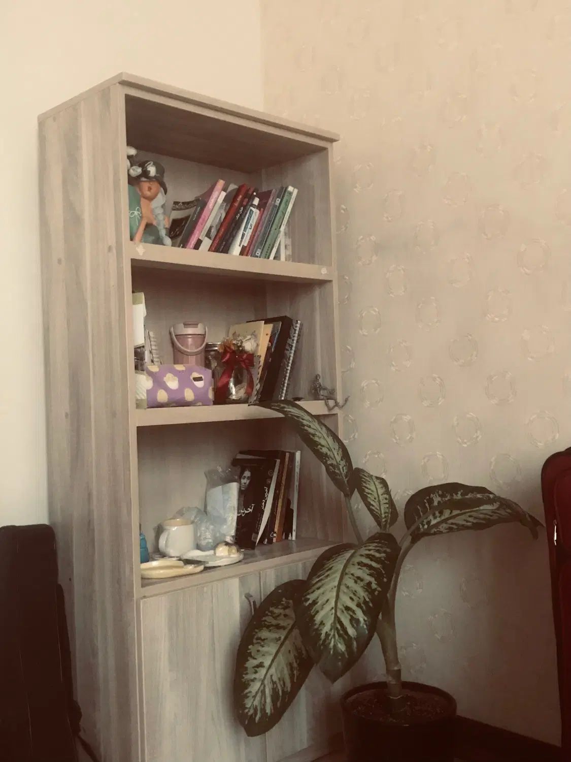 کتابخانه کرمی رنگ|کتابخانه، شلف، قفسه‌های دیواری|تهران, شهرک الهیه غرب|دیوار