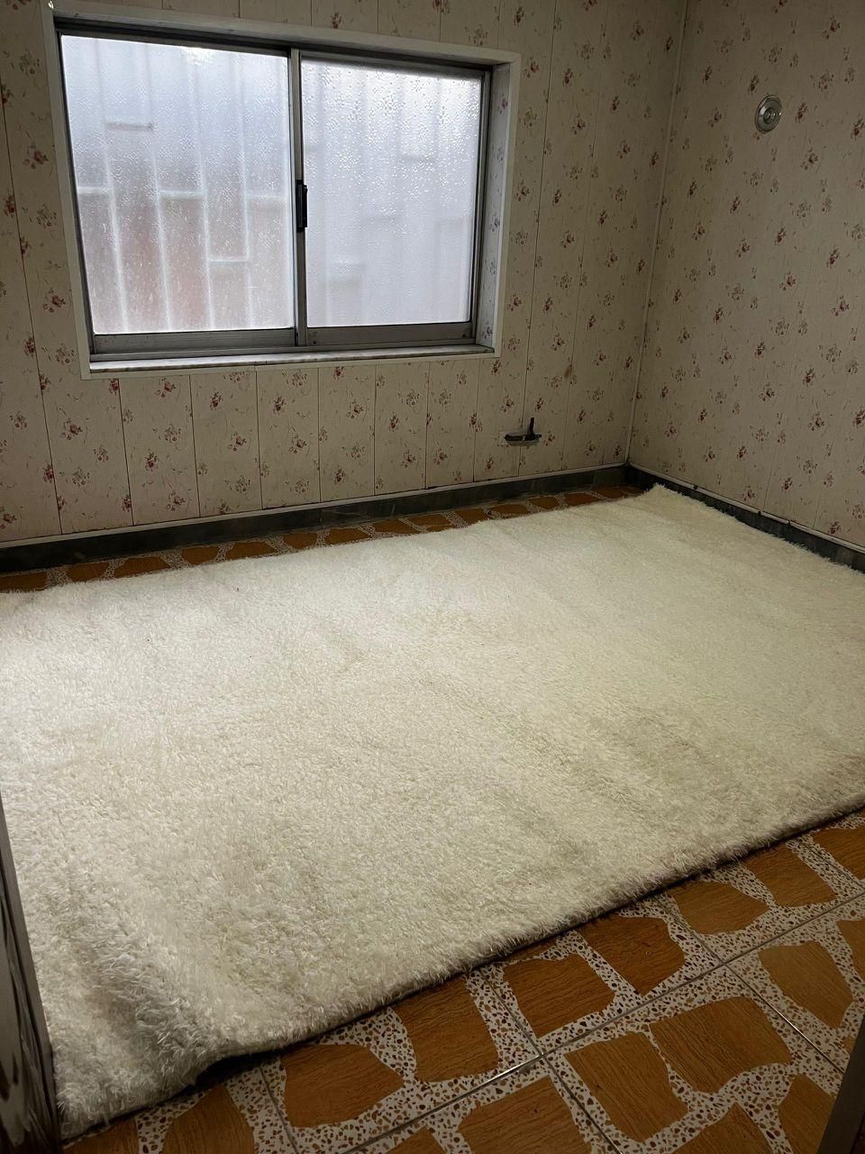 فرش 6متری مدل شگی آکبند و نو|فرش|لاهیجان, گلستان|دیوار