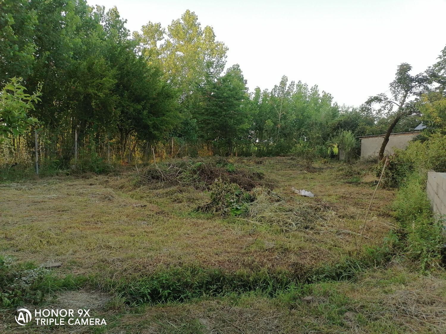 ۳۵۲ متر زمین با جواز ساخت ۱۰۰ متری آماده خلخالیان|فروش زمین و ملک کلنگی|پره‌سر, |دیوار