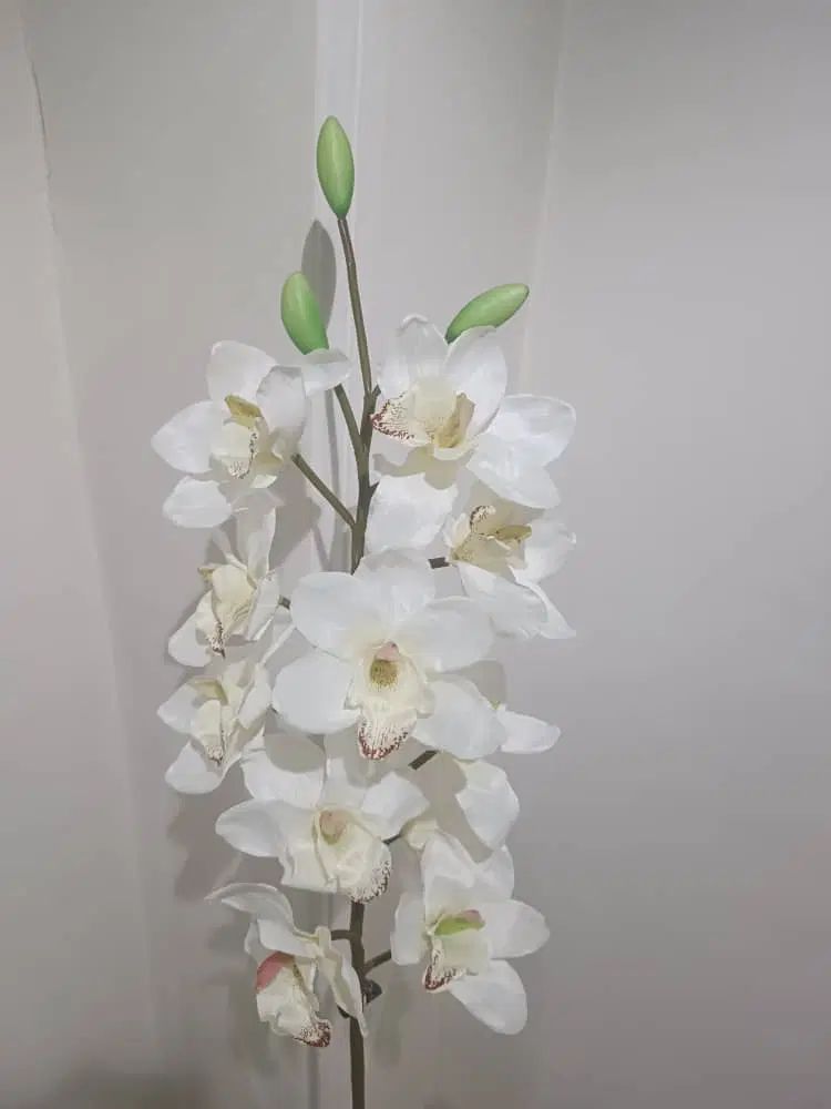 حراج انواع دکوری ظروف گلهای تزیینی گلدان ساعت|صنایع دستی و سایر لوازم تزئینی|کرج, برغان|دیوار