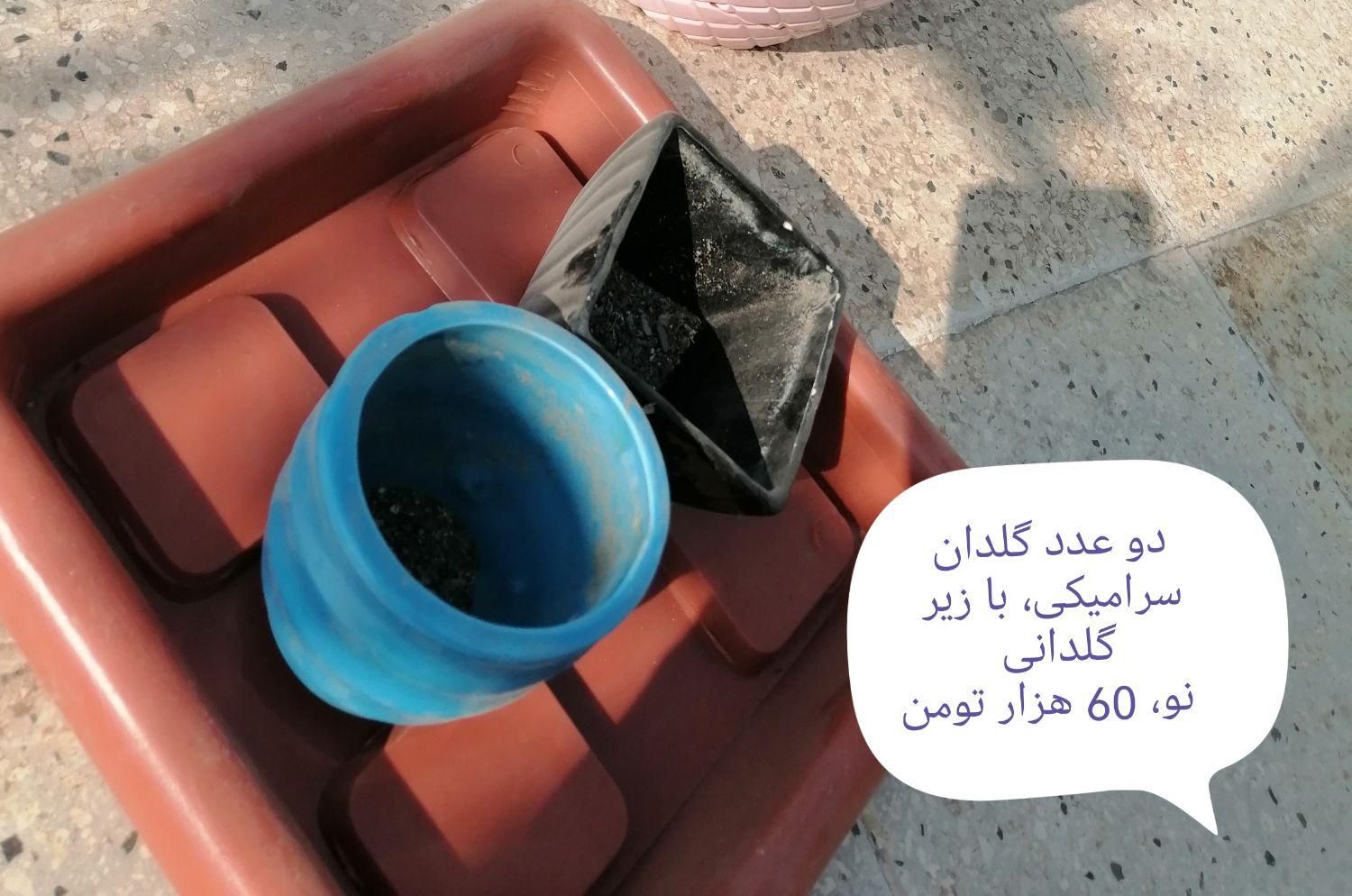 گلدان های پلاستیکی و سرامیکی نو و دست دوم|گل و گیاه طبیعی|تهران, آبشار|دیوار
