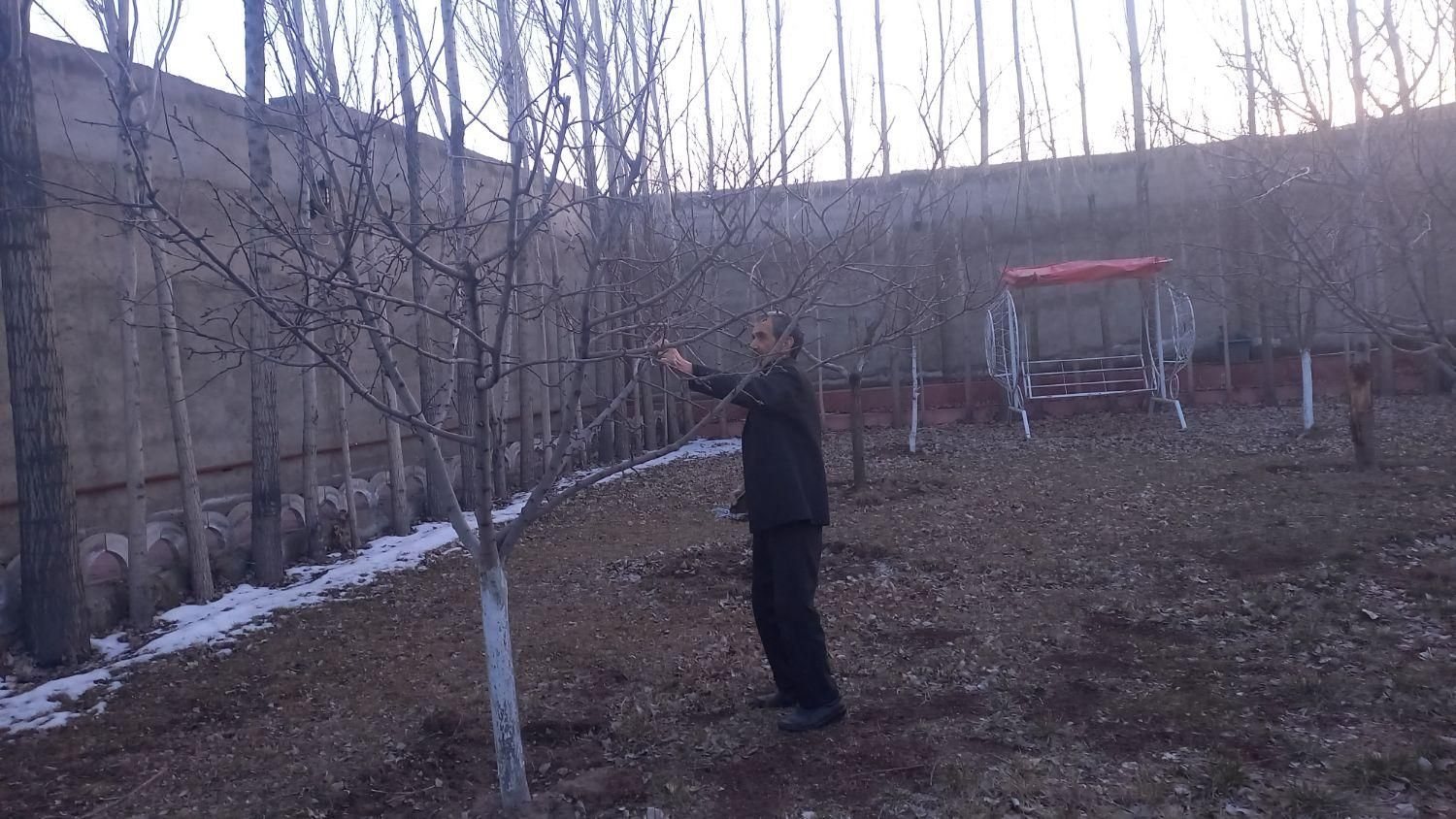 باغبانی و کشاورزی|خدمات باغبانی و درختکاری|تبریز, |دیوار