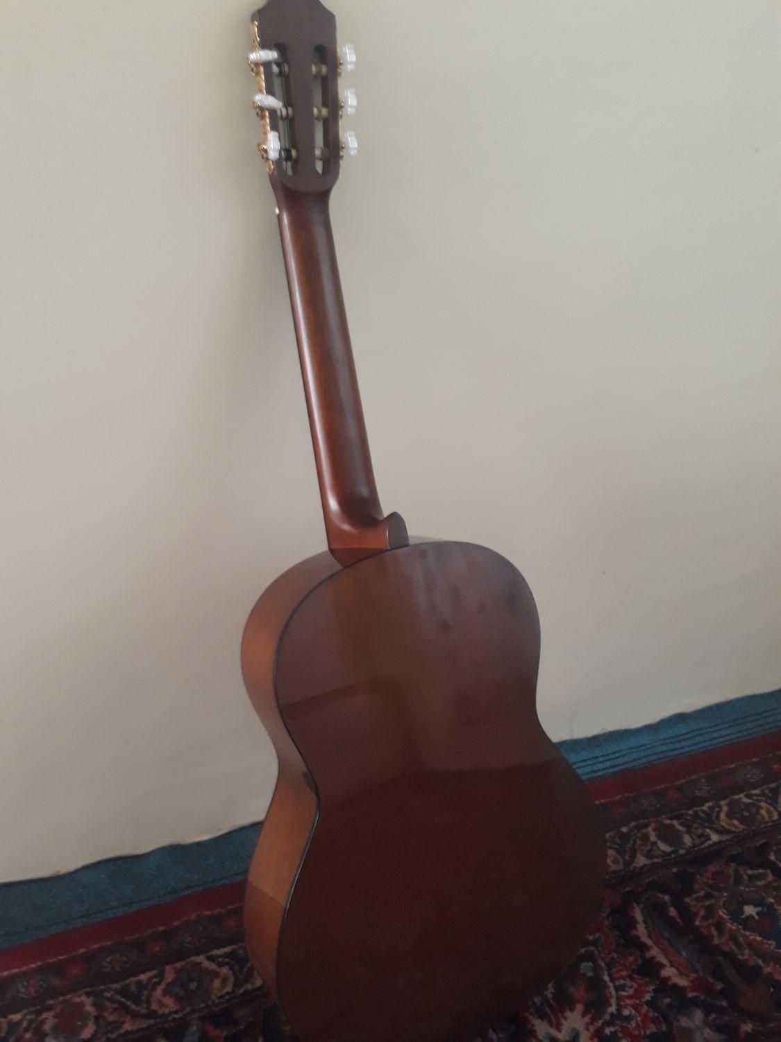 گیتار c70 و مسترورک صورتی|گیتار، بیس، امپلیفایر|تبریز, |دیوار