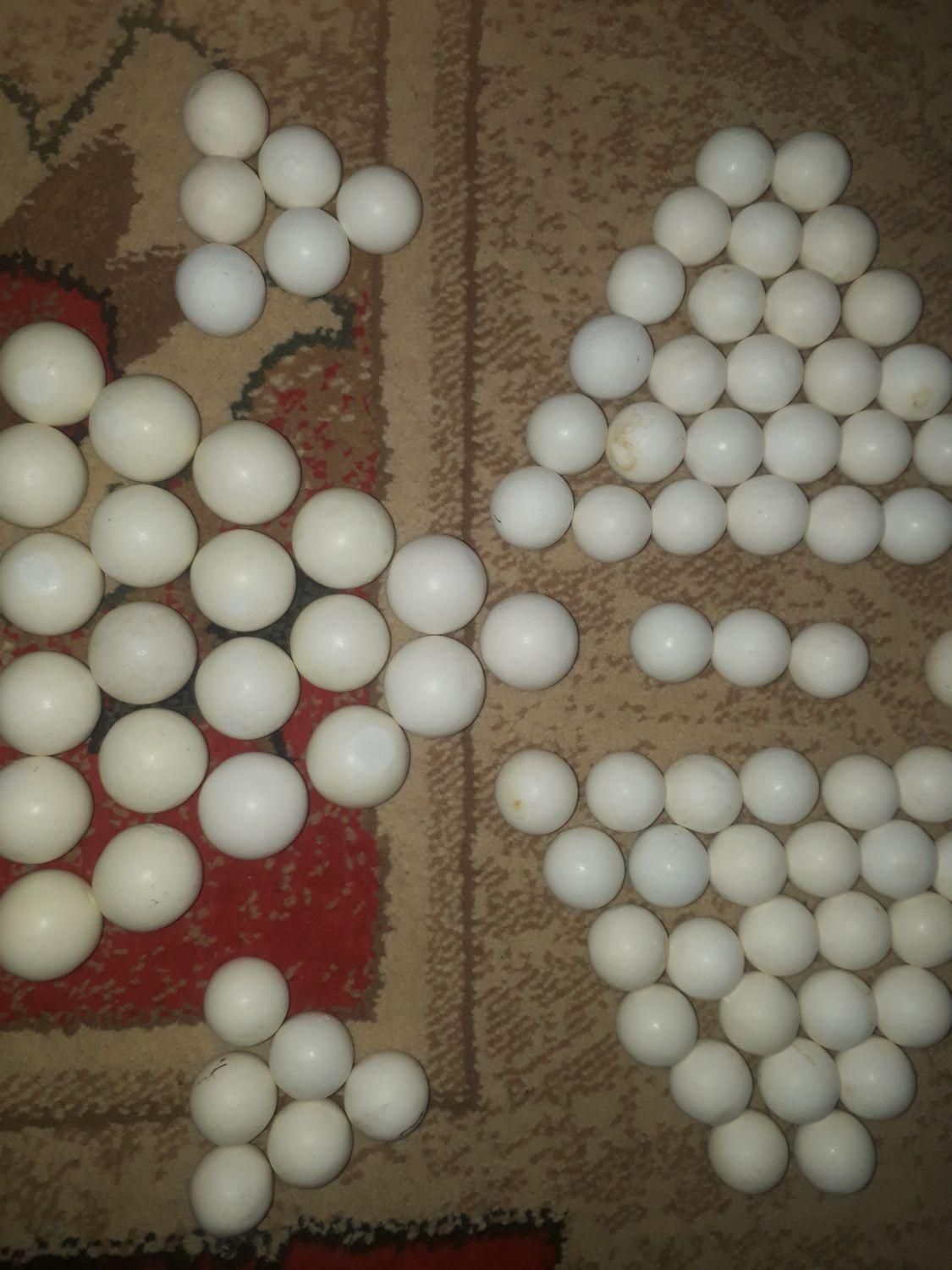 تیله سنگی|کلکسیون و سرگرمی|مرودشت, فاز اول شهرک فرهنگیان|دیوار