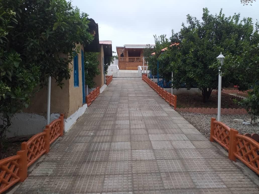 سوئیت با ویو جنگل|اجارهٔ کوتاه‌مدت آپارتمان و سوئیت|بابل, |دیوار