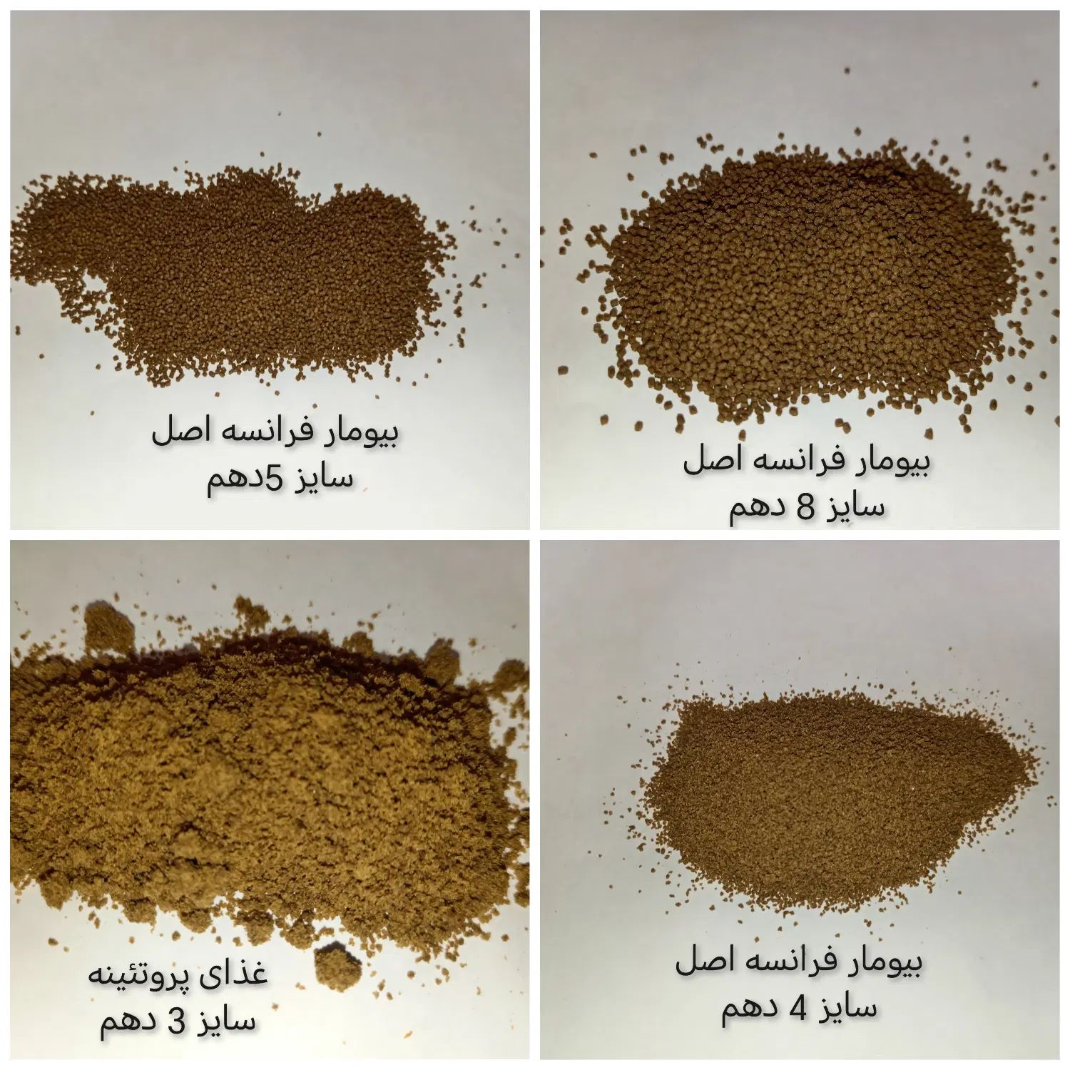 غذای ماهی آرتمیا کاتاپا موز استارتر دکپسوله دافنی|ماهی|مشهد, دانشجو|دیوار