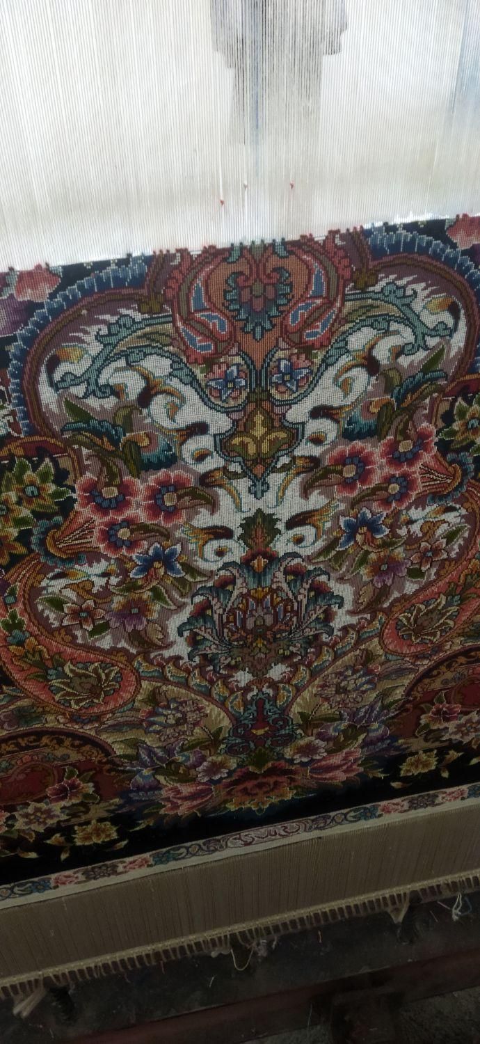 نیازمند همکار قالیباف|استخدام هنری و رسانه|تبریز, |دیوار