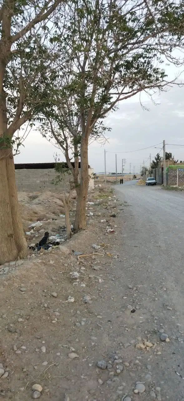 خلق اباد زمین فروشی یاس ۱۱|فروش زمین و ملک کلنگی|مشهد, خلق آباد سفلی|دیوار