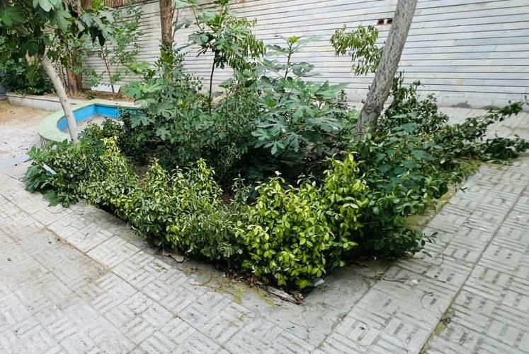 ویلایی/اداری/۶۰۰ متر/سپهسالار/جهت اداری و آموزشگاه|اجارهٔ خانه و ویلا|اصفهان, آبشار|دیوار