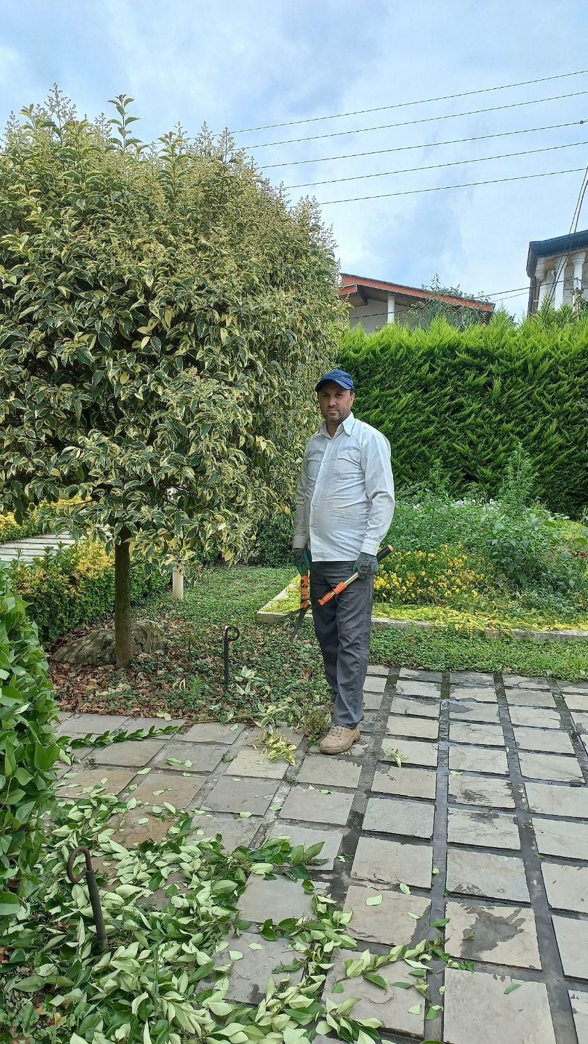 خدمات باغبانی فضای سبز|خدمات باغبانی و درختکاری|نوشهر, |دیوار