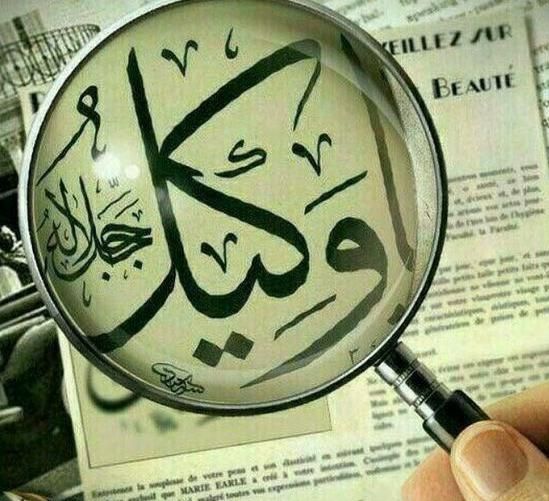 وکیل دادگستری|خدمات مالی، حسابداری، بیمه|تبریز, |دیوار