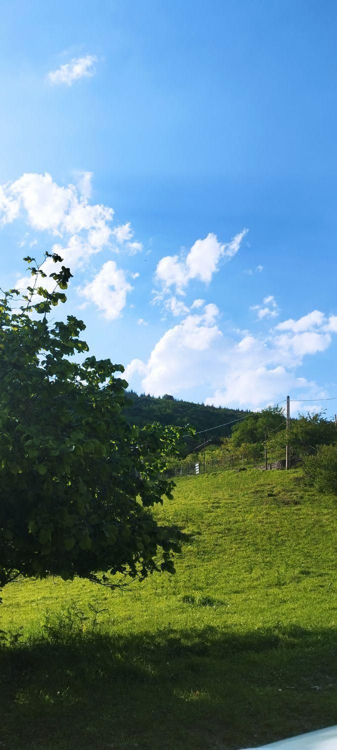 فروش 200متر زمین دوهزار برسه|فروش زمین و ملک کلنگی|تنکابن, |دیوار