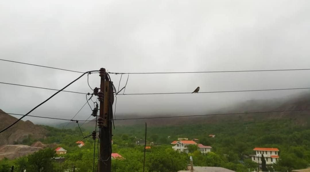 اجاره روزانه ویلا بوژان|اجارهٔ کوتاهمدت ویلا و باغ|نیشابور, فضل|دیوار