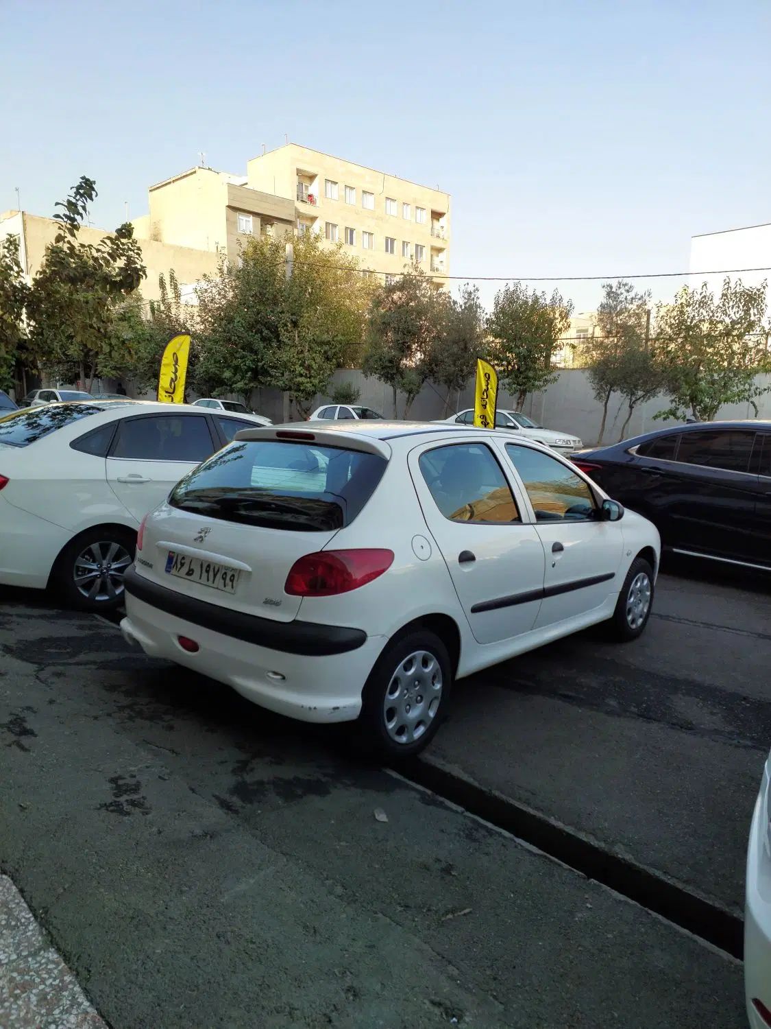 پژو ۲۰۶ تیپ ۲ مدل ۱۳۹۹|خودرو سواری و وانت|تهران, شادمان|دیوار