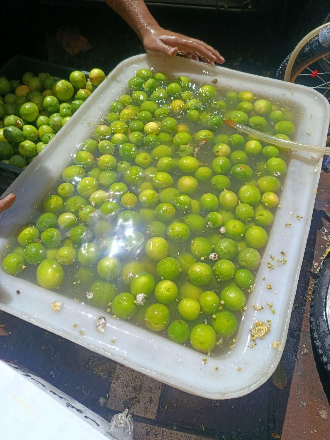 لیمو ترش با آبگیری|خوردنی و آشامیدنی|مشهد, تلگرد|دیوار