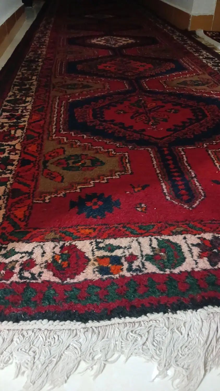 دو تخته فرش دست باف ، کناره ضخیم و خوش نقشه|فرش|میانه, |دیوار